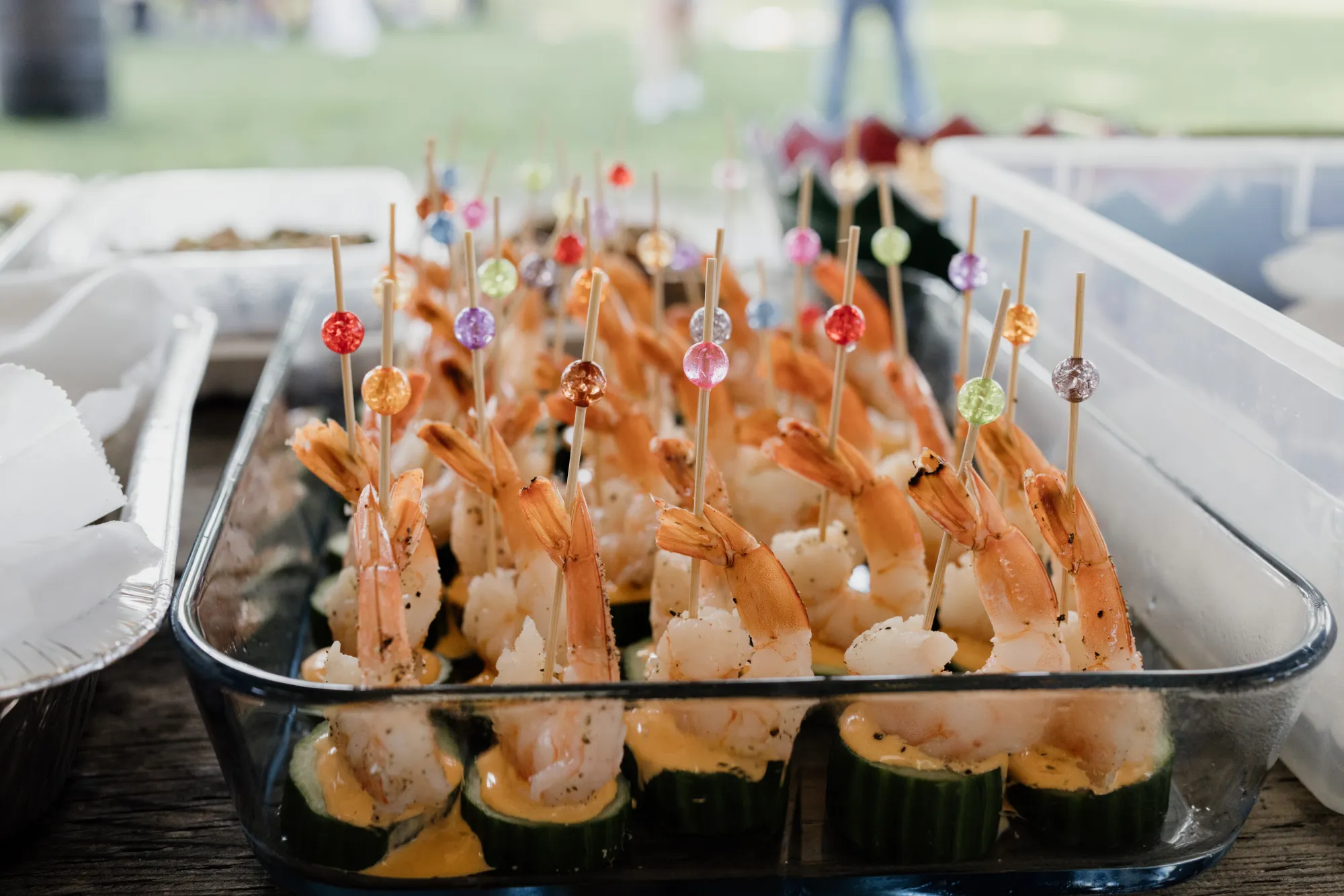 2026 Summer Potluck Photos Now Online