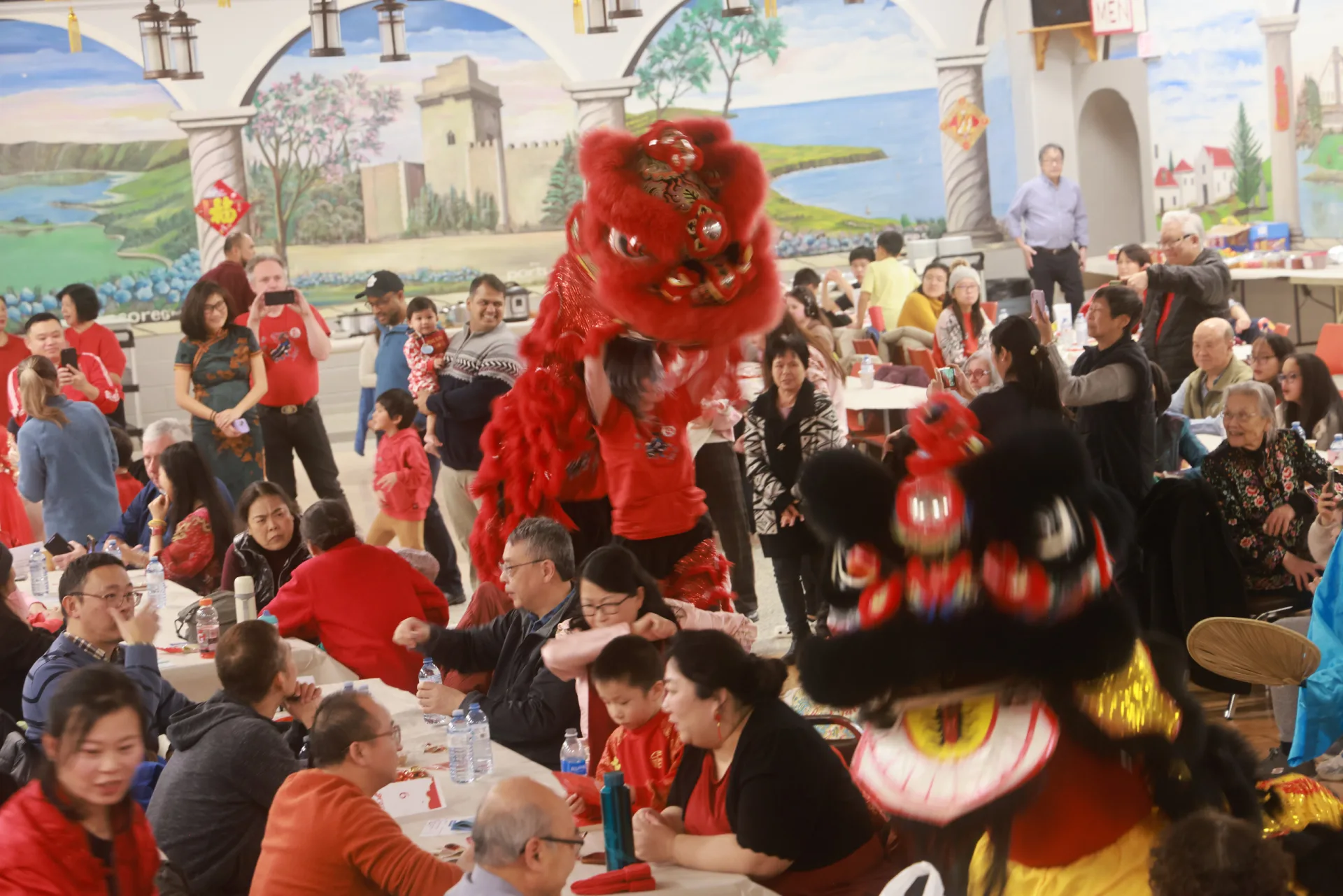 Lion dance performers entertaining guests at a CCAKD Chinese New Year banquet
